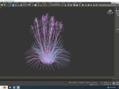 Deschampsia cespitosa - Tufted Hair Grass 3D Модель