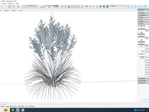 Deschampsia cespitosa - Tufted Hair Grass 3D Модель