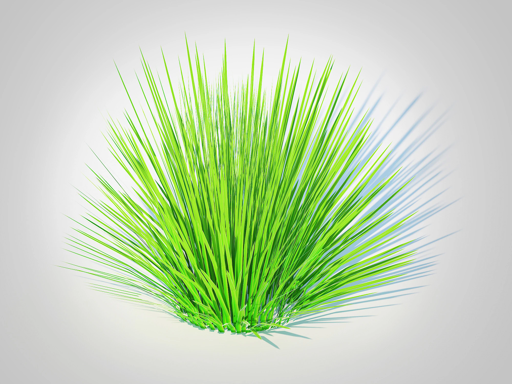 Deschampsia flex -without Wavy 3D Model .c4d .max .obj .3ds .fbx .stl .blend