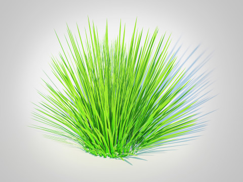 Deschampsia flex -without Wavy 3D Model