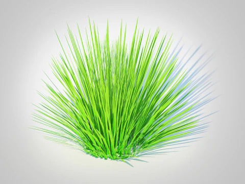 Deschampsia Flex &ndash; ohne Wellen 3D Modell