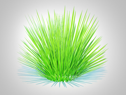 Deschampsia flex -without Wavy 3D 모델
