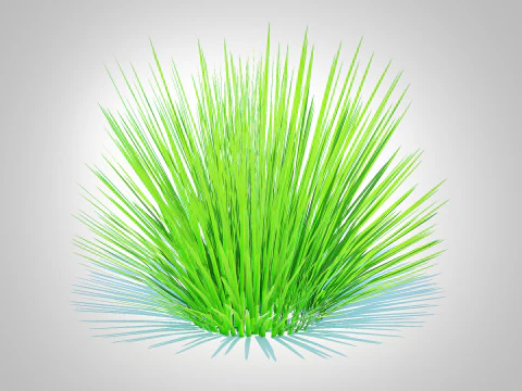 Deschampsia flex -without Wavy 3D Model