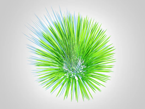 Deschampsia flex -without Wavy 3D Model