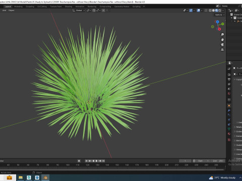Deschampsia flex -without Wavy 3D 모델
