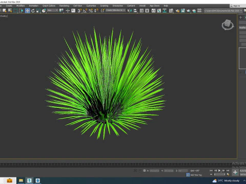 Deschampsia flex -without Wavy 3D Model