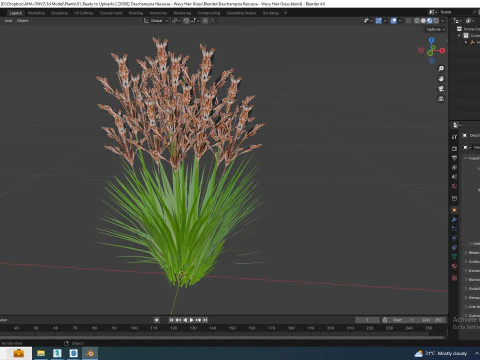Deschampsia flexuosa - Wavy Hair Grass 3D Model