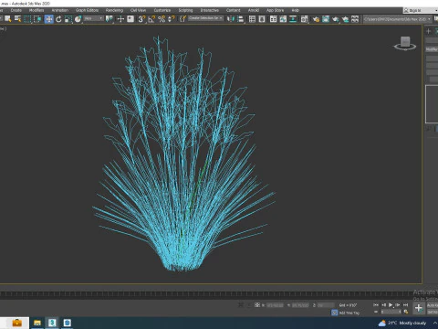 Deschampsia flexuosa - Wavy Hair Grass 3D Model