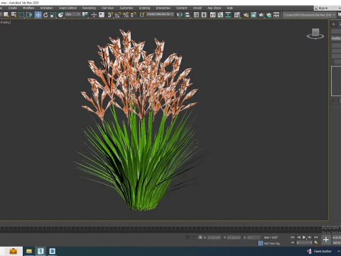 Deschampsia flexuosa - Wavy Hair Grass 3D Model