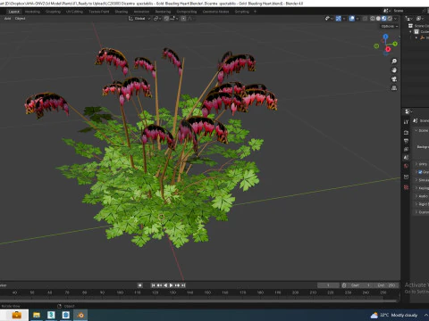 Dicentra spectabilis - Gold Bleeding Heart 3D Model