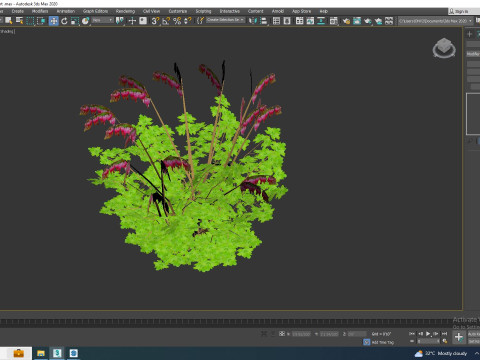 Dicentra spectabilis - Gold Bleeding Heart 3D Model