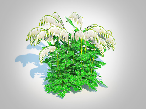 Dicentra spectabilis Alba - White Bleeding Heart 3D Model