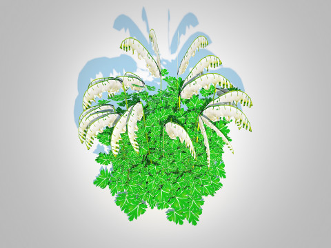 Dicentra spectabilis Alba - White Bleeding Heart 3D Model