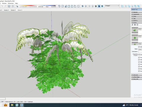 Dicentra spectabilis Alba - White Bleeding Heart 3D Model