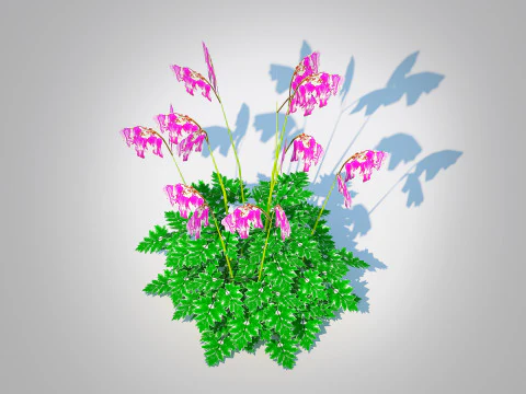 Dicentra Luxuriant - Bleeding Heart 3D Model