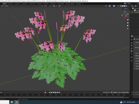 Dicentra Luxuriant - Bleeding Heart 3D Model