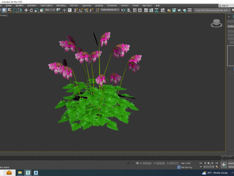 Dicentra Luxuriant - Bleeding Heart 3D मॉडल