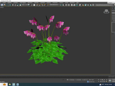 Dicentra Luxuriant - Bleeding Heart 3D Model