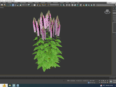 Digitalis purpurea - Common Foxglove pink Modello 3D