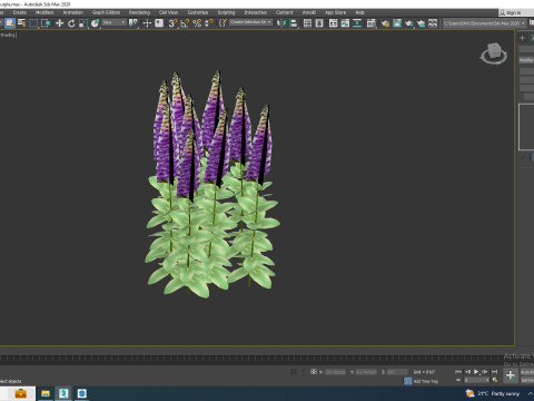 Digitalis purpurea - Common Foxglove purple 3D Модель