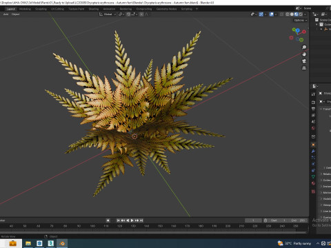 Dryopteris erythrosora - Autumn fern 3D Model