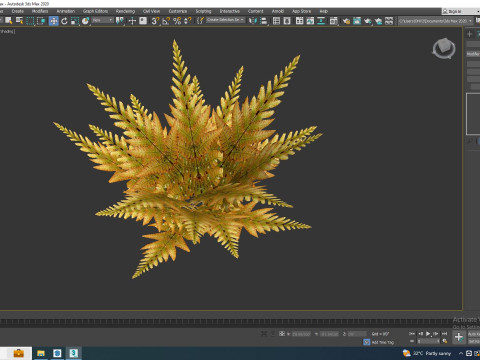 Dryopteris erythrosora - Autumn fern 3D Model