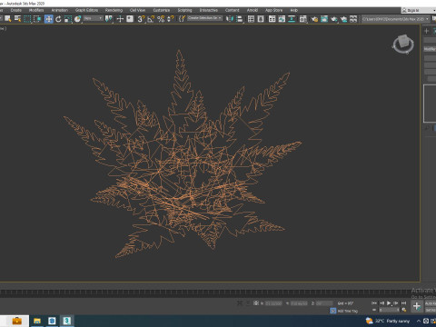 Dryopteris erythrosora - Autumn fern 3D Model
