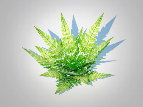 Dryopteris marginalis - wood fern 3D Model