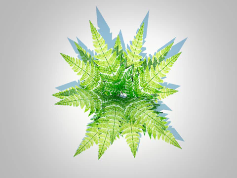 Dryopteris marginalis - wood fern 3D Model