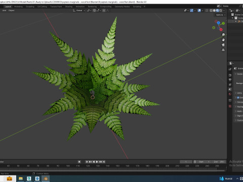 Dryopteris marginalis - wood fern 3Dモデル