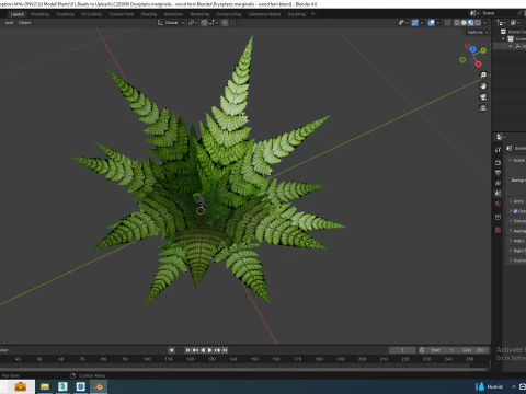 Dryopteris marginalis - wood fern 3D Model