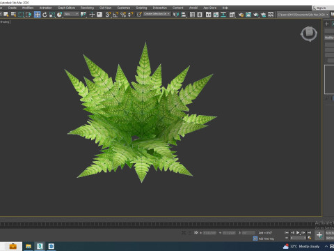 Dryopteris marginalis - wood fern 3Dモデル