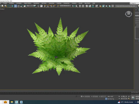 Dryopteris marginalis - wood fern 3D Model