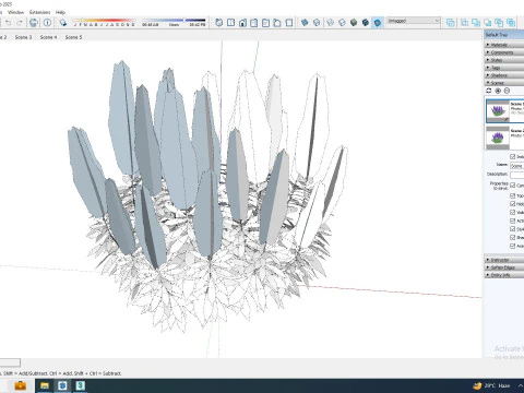 Echium candicans 3D Model