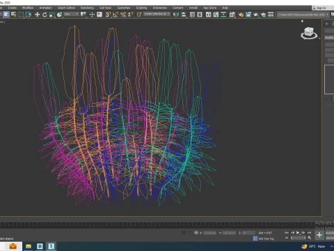 Echium candicans 3D Model