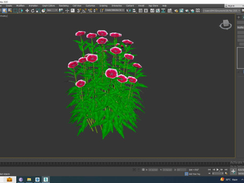 Dianthus chinensis Modelo 3D
