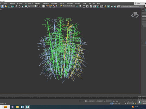 Dianthus chinensis Modelo 3D