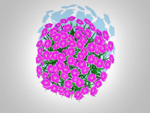 Dianthus deltoides - Zing 3D Model