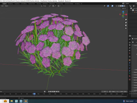 Dianthus deltoides - Zing 3D Model