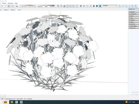 Dianthus deltoides - Zing 3D Model