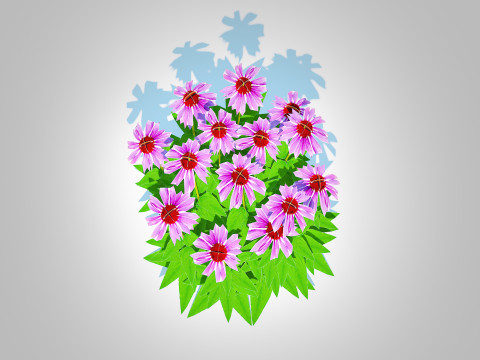Echinacea - purple coneflower 3D-Modell
