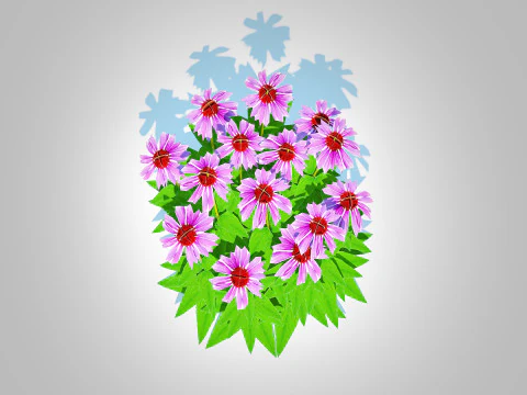 Echinacea - purple coneflower 3D Model