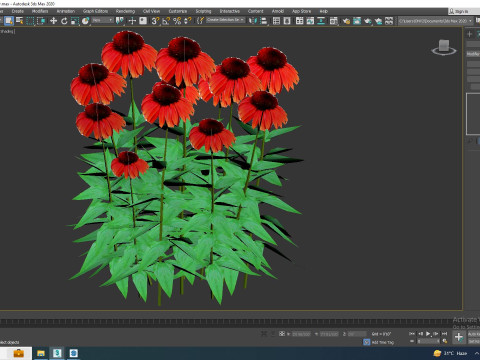 Echinacea Big Sky Sundown - Coneflower Modelo 3D