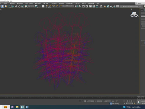Echinacea Paradoxa - Coneflower 3D Model
