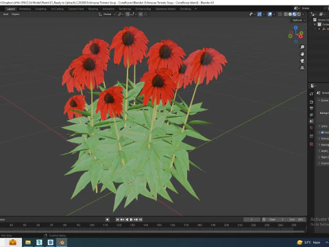 Echinacea Tomato Soup - Coneflower 3D Model