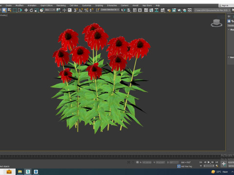 Echinacea Tomato Soup - Coneflower 3D Model