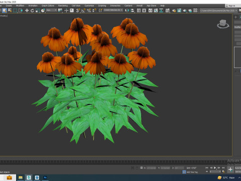 Echinacea Julia - Coneflower 3D मॉडल