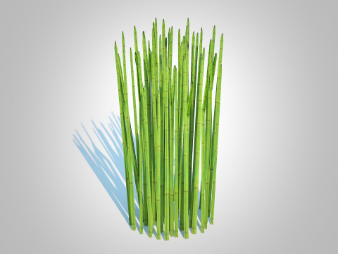 Equisetum hyemale - Horsetail Reed 3D Model