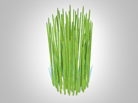 Equisetum hyemale - Horsetail Reed 3D Model
