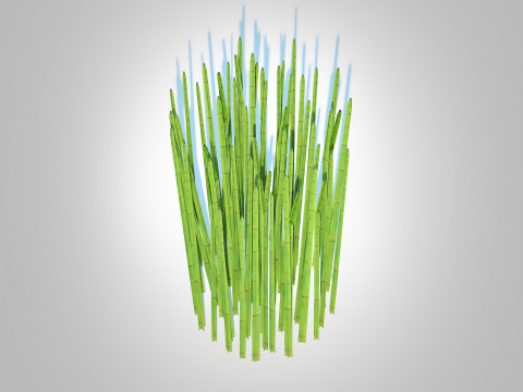 Equisetum hyemale - Horsetail Reed 3D Model